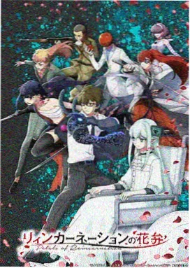 动画专区改版后的分类示意画面